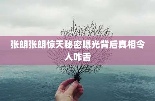 张朗张朗惊天秘密曝光背后真相令人咋舌