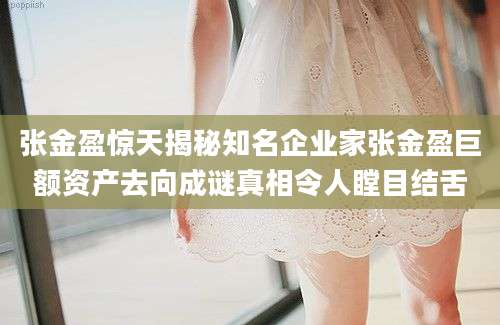 张金盈惊天揭秘知名企业家张金盈巨额资产去向成谜真相令人瞠目结舌