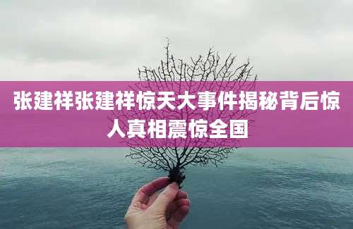 张建祥张建祥惊天大事件揭秘背后惊人真相震惊全国