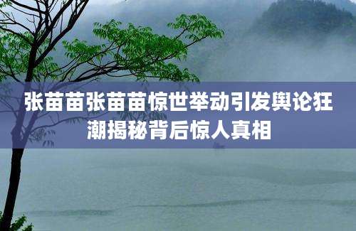 张苗苗张苗苗惊世举动引发舆论狂潮揭秘背后惊人真相