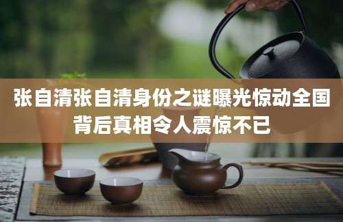 张自清张自清身份之谜曝光惊动全国背后真相令人震惊不已