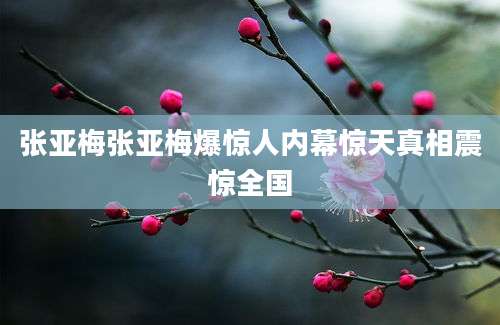 张亚梅张亚梅爆惊人内幕惊天真相震惊全国