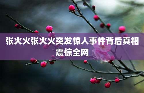 张火火张火火突发惊人事件背后真相震惊全网