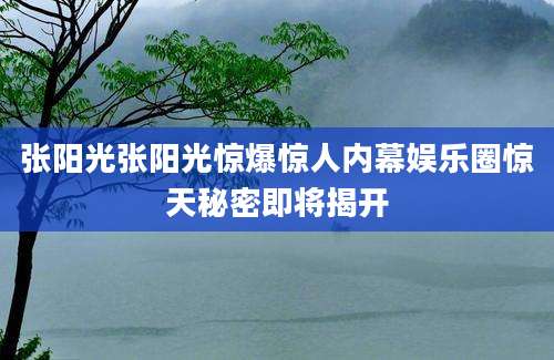 张阳光张阳光惊爆惊人内幕娱乐圈惊天秘密即将揭开