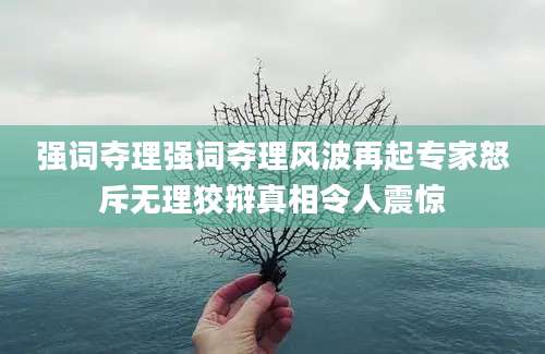 强词夺理强词夺理风波再起专家怒斥无理狡辩真相令人震惊