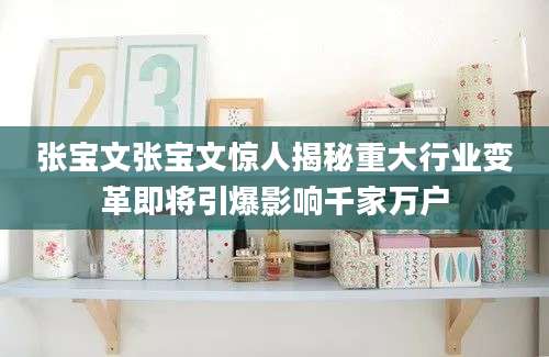 张宝文张宝文惊人揭秘重大行业变革即将引爆影响千家万户