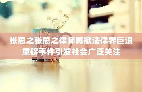 张思之张思之律师再掀法律界巨浪重磅事件引发社会广泛关注