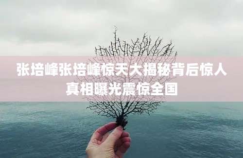 张培峰张培峰惊天大揭秘背后惊人真相曝光震惊全国