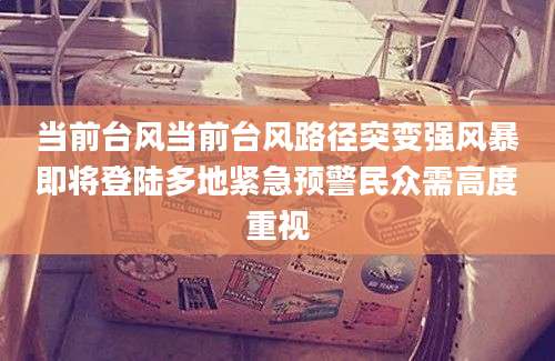 当前台风当前台风路径突变强风暴即将登陆多地紧急预警民众需高度重视