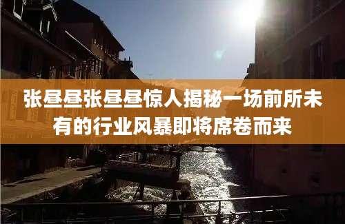 张昼昼张昼昼惊人揭秘一场前所未有的行业风暴即将席卷而来