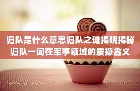 归队是什么意思归队之谜揭晓揭秘归队一词在军事领域的震撼含义