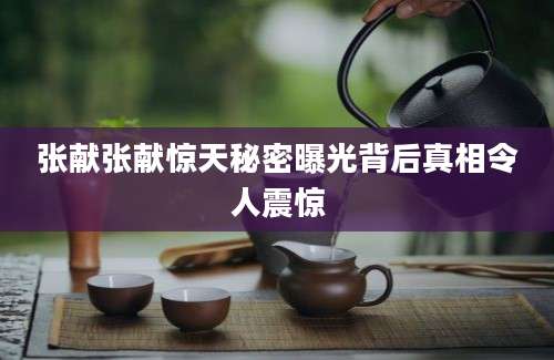 张献张献惊天秘密曝光背后真相令人震惊