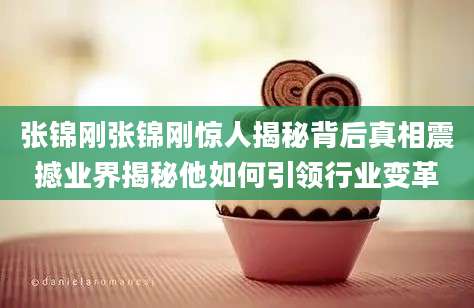 张锦刚张锦刚惊人揭秘背后真相震撼业界揭秘他如何引领行业变革