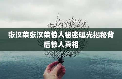 张汉荣张汉荣惊人秘密曝光揭秘背后惊人真相