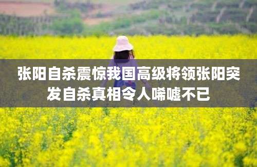 张阳自杀震惊我国高级将领张阳突发自杀真相令人唏嘘不已