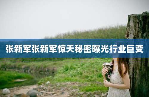 张新军张新军惊天秘密曝光行业巨变
