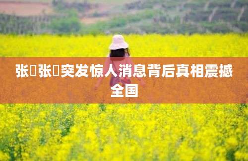 张劼张劼突发惊人消息背后真相震撼全国