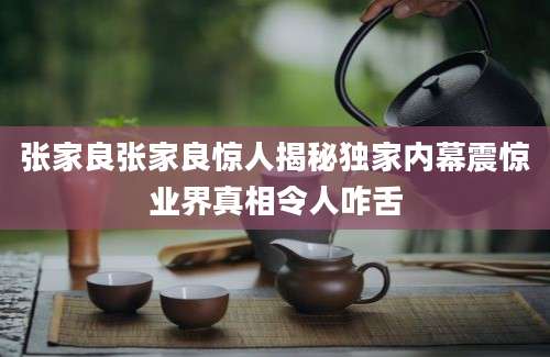 张家良张家良惊人揭秘独家内幕震惊业界真相令人咋舌