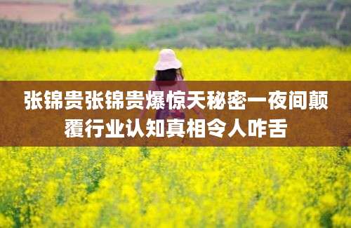 张锦贵张锦贵爆惊天秘密一夜间颠覆行业认知真相令人咋舌