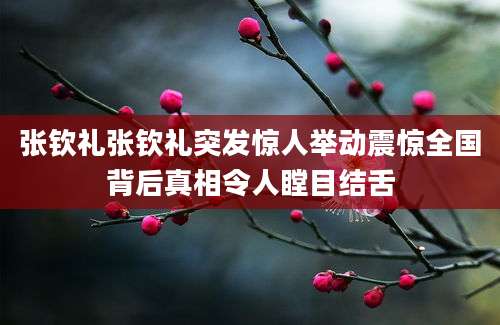 张钦礼张钦礼突发惊人举动震惊全国背后真相令人瞠目结舌