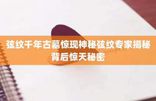 弦纹千年古墓惊现神秘弦纹专家揭秘背后惊天秘密
