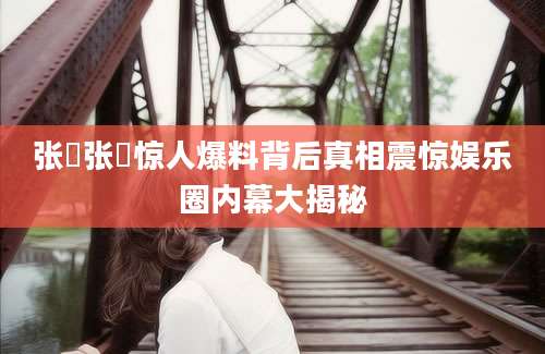 张瑀张瑀惊人爆料背后真相震惊娱乐圈内幕大揭秘