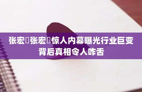 张宏樑张宏樑惊人内幕曝光行业巨变背后真相令人咋舌