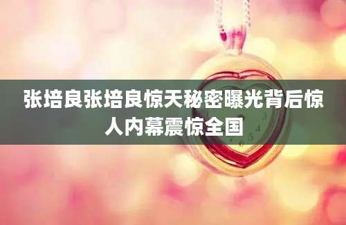 张培良张培良惊天秘密曝光背后惊人内幕震惊全国