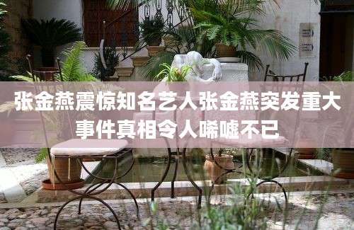 张金燕震惊知名艺人张金燕突发重大事件真相令人唏嘘不已