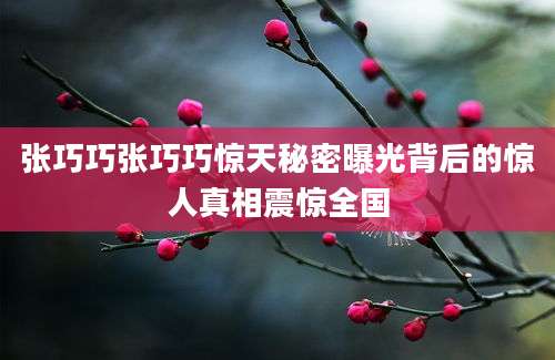 张巧巧张巧巧惊天秘密曝光背后的惊人真相震惊全国