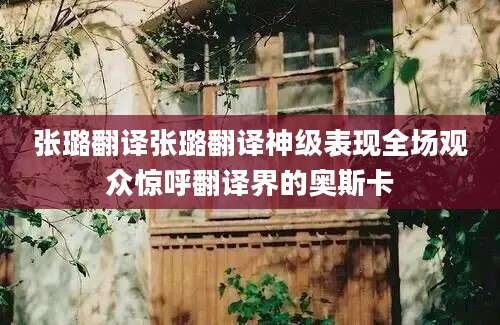张璐翻译张璐翻译神级表现全场观众惊呼翻译界的奥斯卡