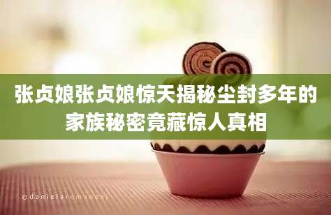 张贞娘张贞娘惊天揭秘尘封多年的家族秘密竟藏惊人真相