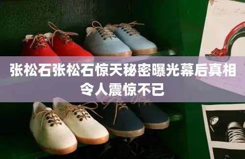 张松石张松石惊天秘密曝光幕后真相令人震惊不已