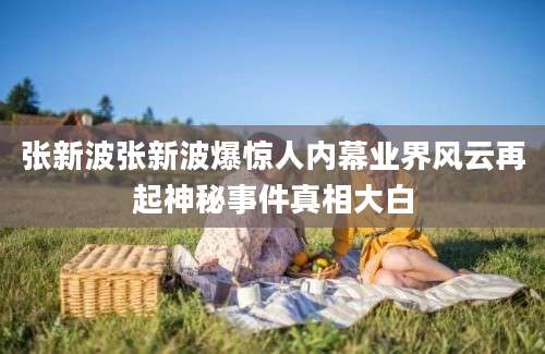 张新波张新波爆惊人内幕业界风云再起神秘事件真相大白