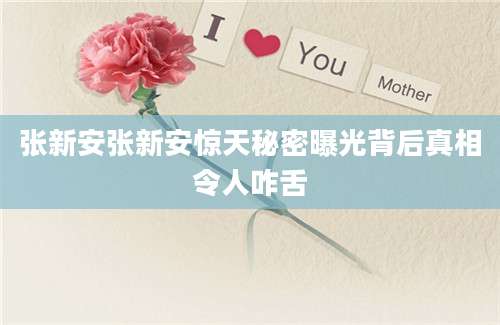 张新安张新安惊天秘密曝光背后真相令人咋舌