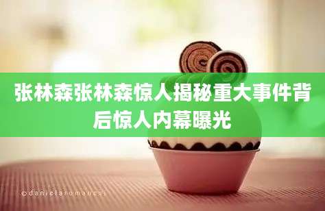 张林森张林森惊人揭秘重大事件背后惊人内幕曝光