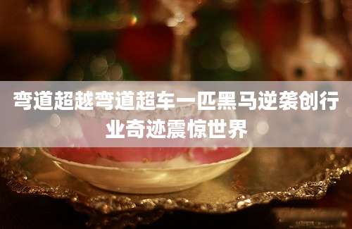 弯道超越弯道超车一匹黑马逆袭创行业奇迹震惊世界