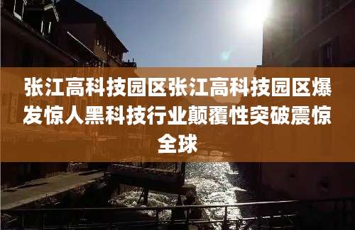 张江高科技园区张江高科技园区爆发惊人黑科技行业颠覆性突破震惊全球
