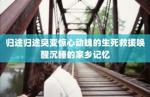 归途归途突变惊心动魄的生死救援唤醒沉睡的家乡记忆