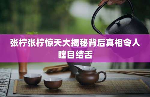 张柠张柠惊天大揭秘背后真相令人瞠目结舌