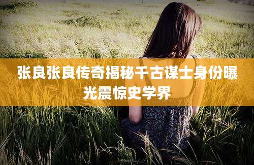 张良张良传奇揭秘千古谋士身份曝光震惊史学界