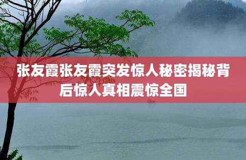 张友霞张友霞突发惊人秘密揭秘背后惊人真相震惊全国
