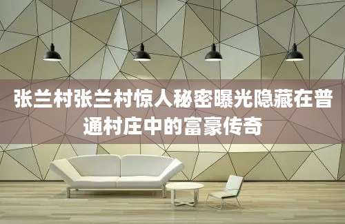 张兰村张兰村惊人秘密曝光隐藏在普通村庄中的富豪传奇