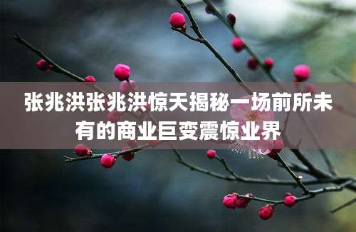 张兆洪张兆洪惊天揭秘一场前所未有的商业巨变震惊业界