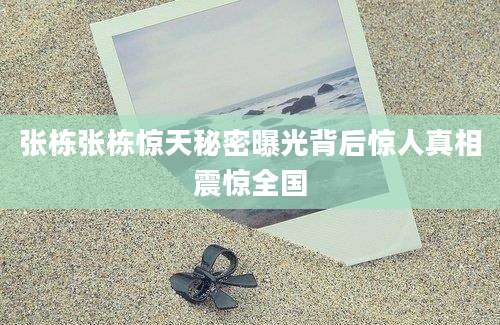 张栋张栋惊天秘密曝光背后惊人真相震惊全国
