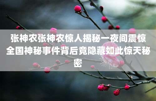 张神农张神农惊人揭秘一夜间震惊全国神秘事件背后竟隐藏如此惊天秘密