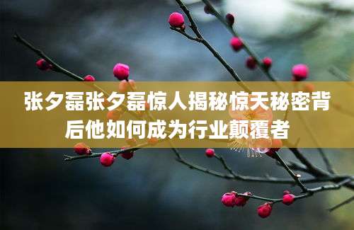 张夕磊张夕磊惊人揭秘惊天秘密背后他如何成为行业颠覆者