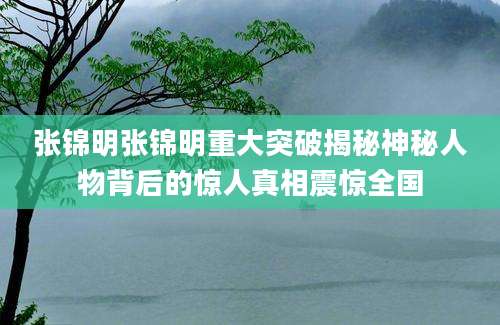 张锦明张锦明重大突破揭秘神秘人物背后的惊人真相震惊全国