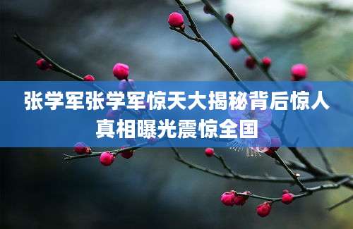 张学军张学军惊天大揭秘背后惊人真相曝光震惊全国