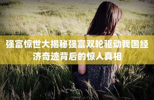 强富惊世大揭秘强富双轮驱动我国经济奇迹背后的惊人真相